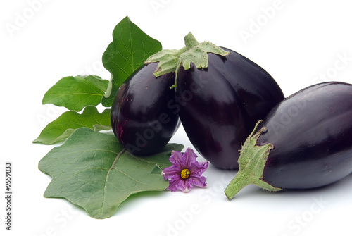 Aubergine 03