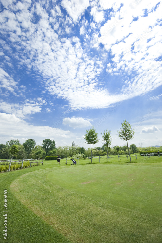 Golf club view of putting green - sport