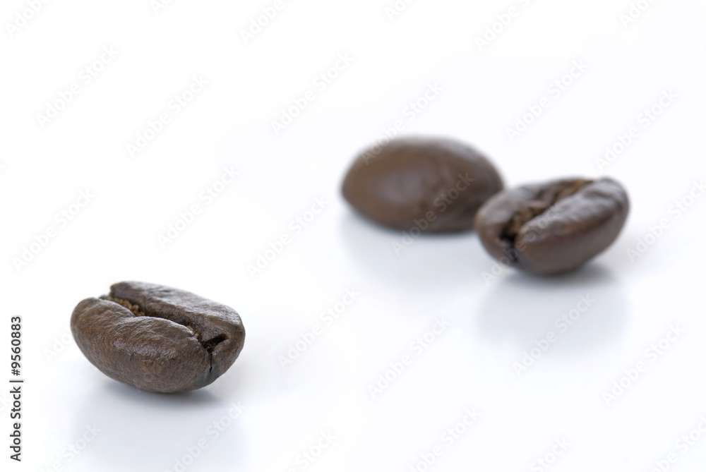 Fototapeta premium Coffee Beans on a White Background
