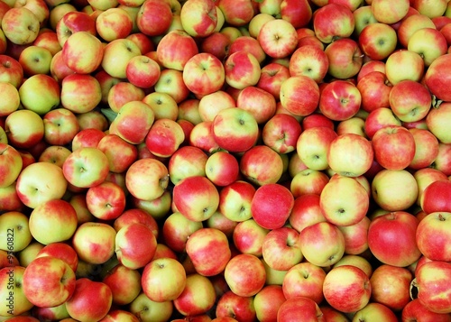 Close-up of many green and red apples