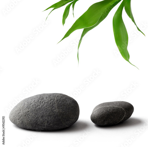 zen-like pebbles and bamboo leaves