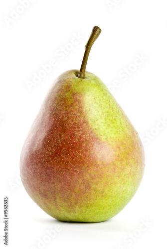 Flemish Pear Isolated on White