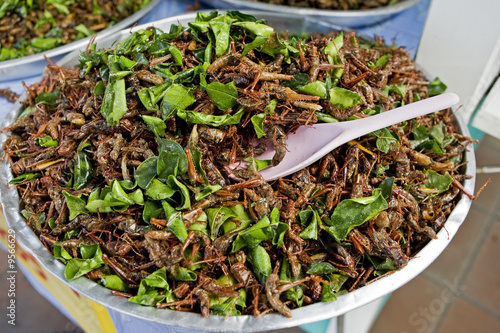 Heuschrecken zum Essen, Asien photo