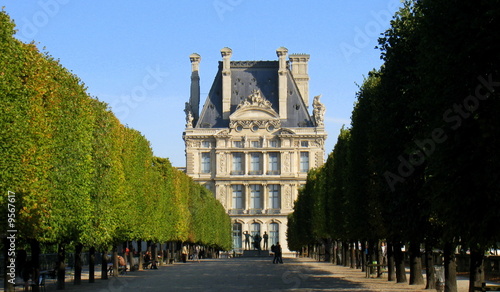 allée du jardin des tuileries photo