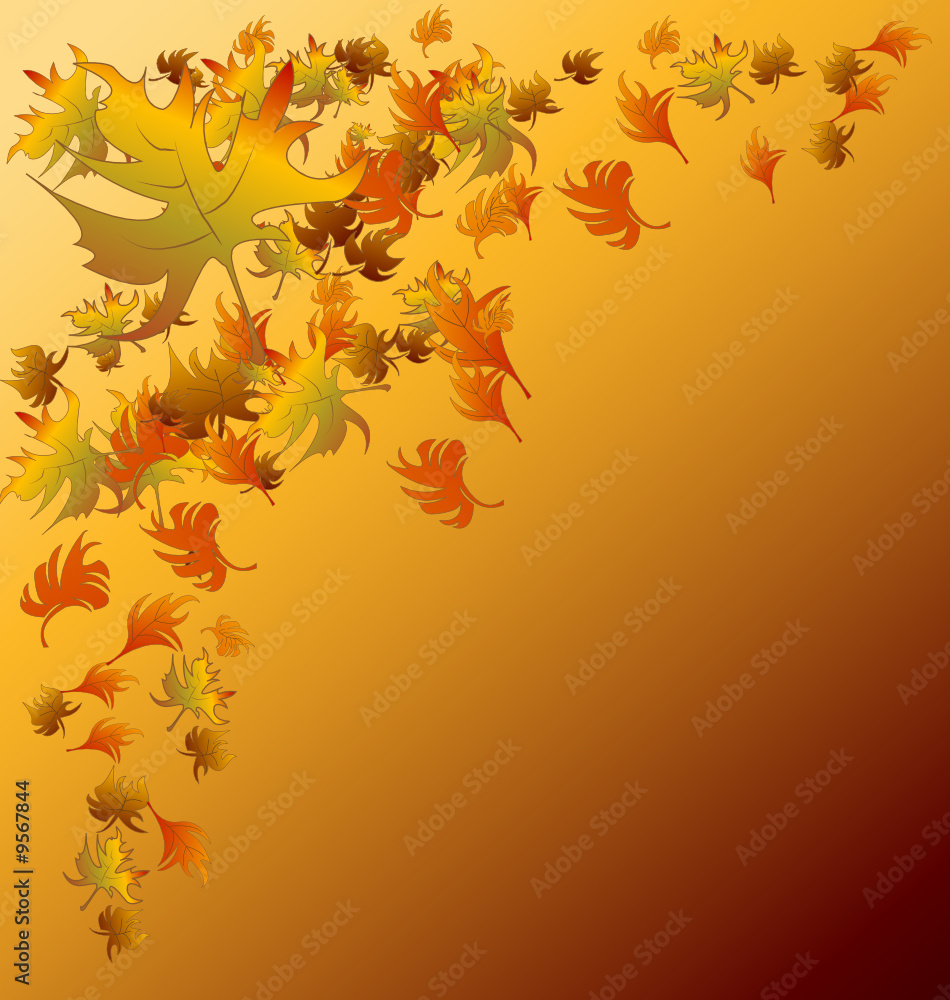 A beautiful abstract autumn background A beautiful abstract autumn background