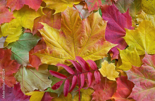 Colorful backround image of...
