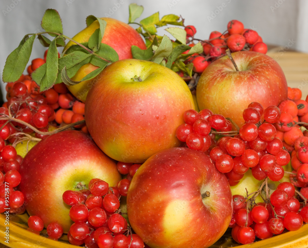 The image of a plate with autumn fruits The image of a plate with autumn fruits