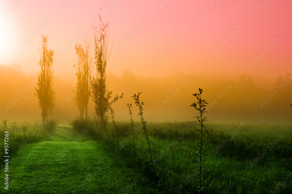 Fototapeta premium Mystical Morning