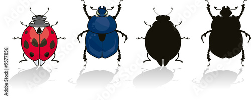 Ladybug and beetle isolated on white with his silhouette
