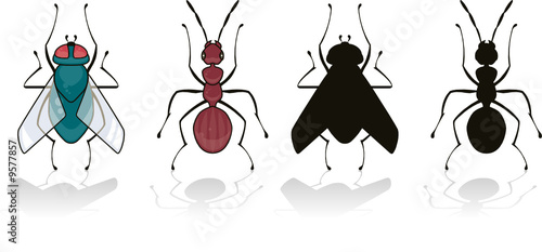 fly and ant isolated on white with his silhouette