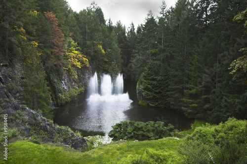 A magnificent fountain jet in the lake surrounded by a forest