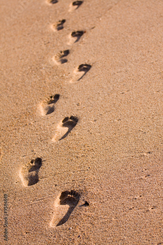 A row of foot prints on the beach leading away from the viewer