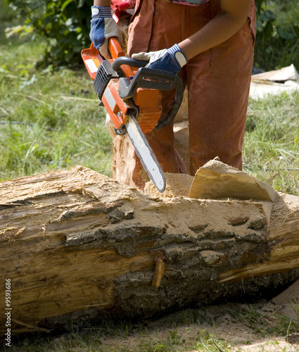 Worker using chain saw to cut out wood sculpture