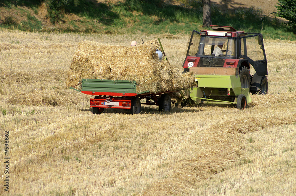Fototapeta premium Traktor in der Landwirtschaft