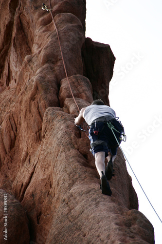 The Garden of the gods