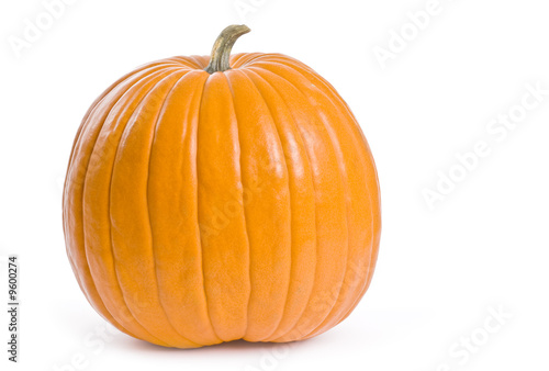 Pumpkin Series
