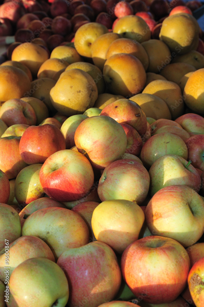 Farmer's market Gala apples and asian pears Farmer's market Gala apples and asian pears