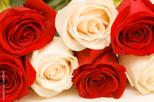 Red and white roses isolated on white