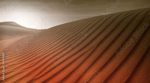 Sahara Desert © XtravaganT