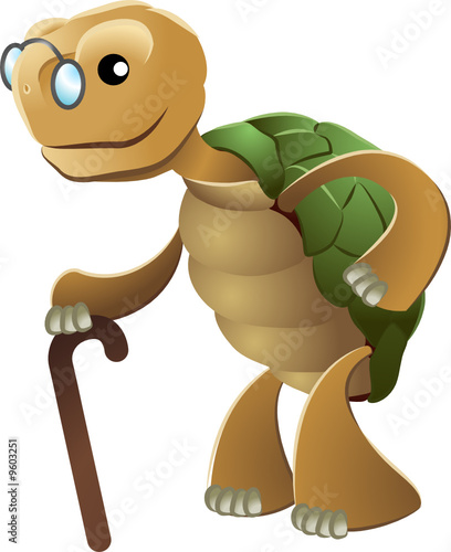 Illustration of elderly tortoise