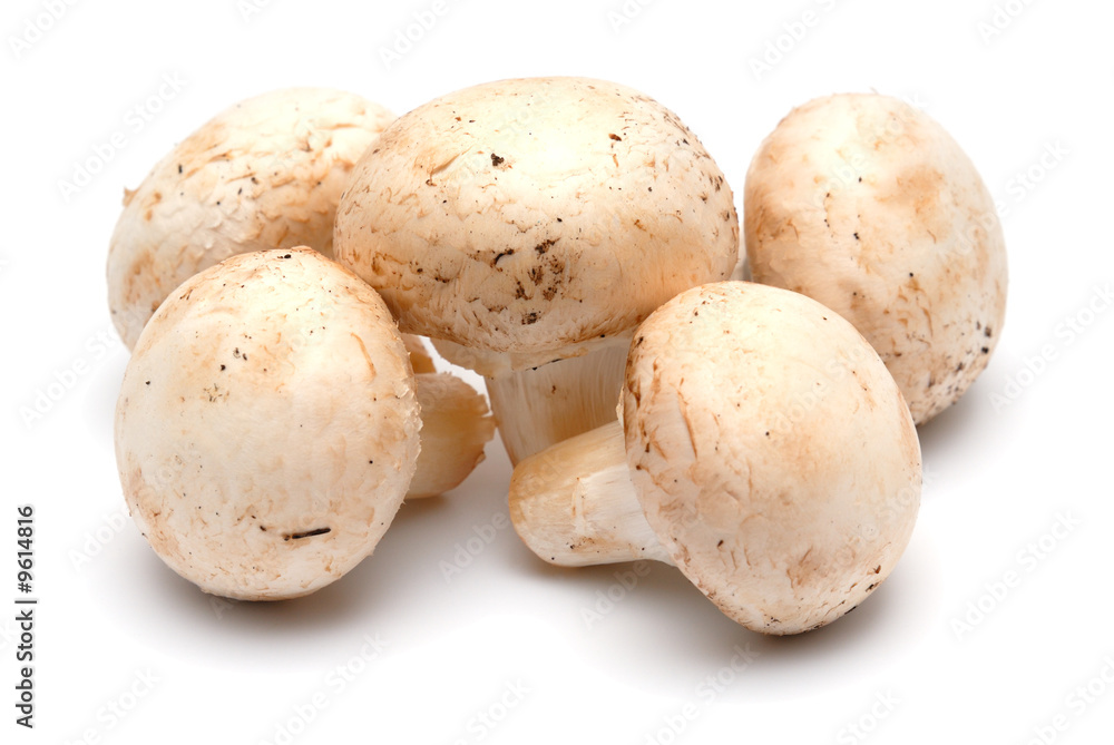 Five mushrooms of champignons on a light background