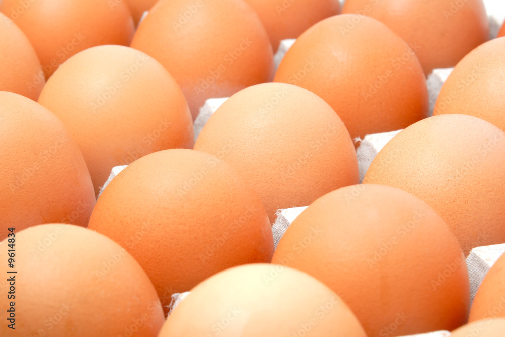 Fresh rural eggs packed into cardboard container