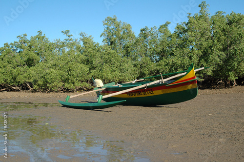 Pirogue