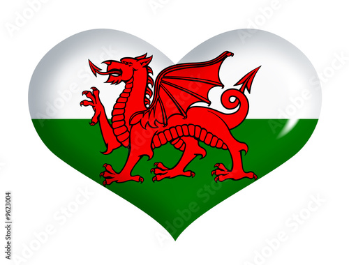 Cuore gallese