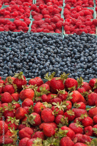 Fresh, organically grown berries