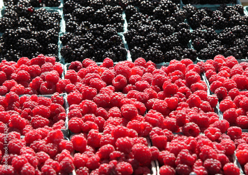Fresh, organically grown berries