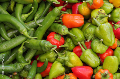 Organic pepper assortment at farmer's market