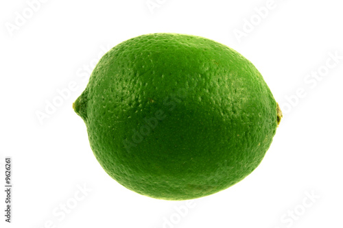 A green lime isolated on a white background
