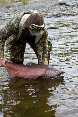 Releasing Wild Salmon