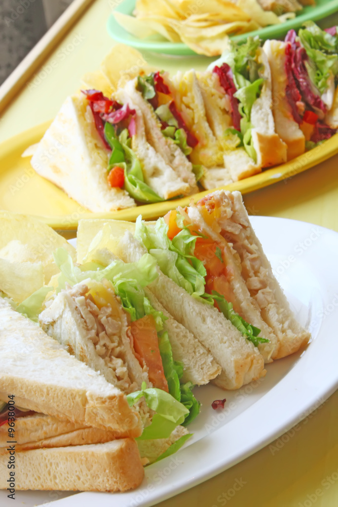 Group of Cut Toasted Sandwiches on a White Plate Group of Cut Toasted Sandwiches on a White Plate