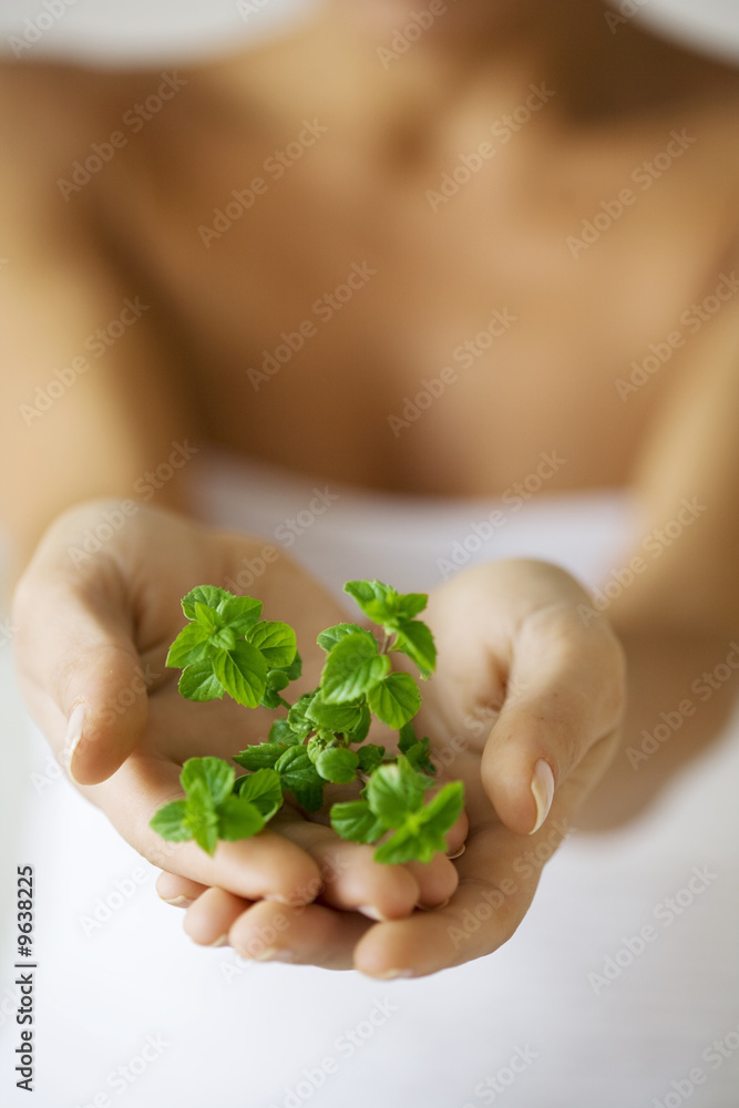 hands holding some green herbs out