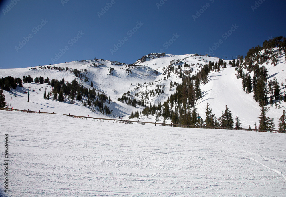 ski slopes at a califormia ski ressort