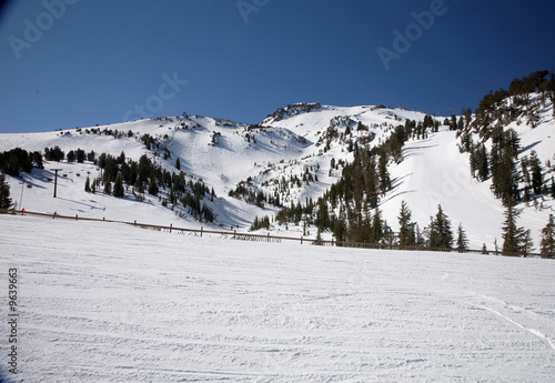 ski slopes at a califormia ski ressort