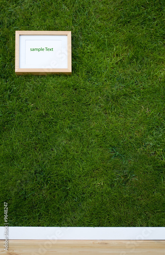 wallpaper with grass texture and frame with copy-space