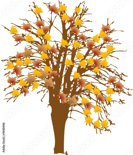 Vector illustration of autumnal tree