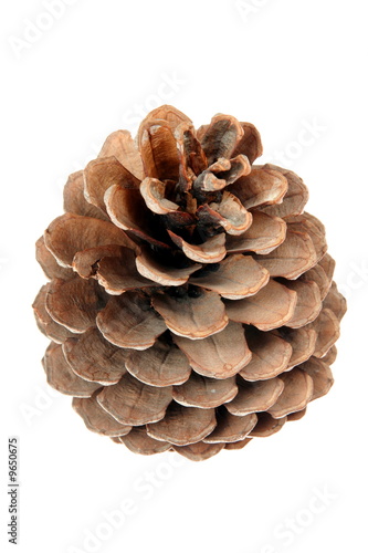 Cone isolated on a white background