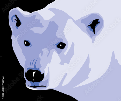 Polar bear