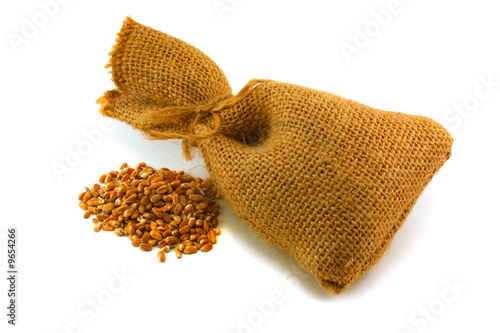Sack and grain on a white background