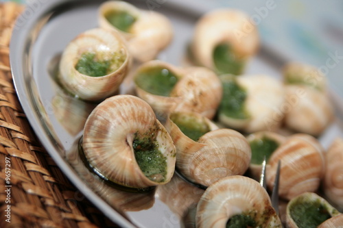escargot de bourgogne
