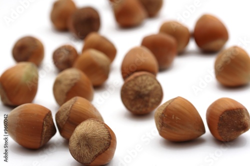 hazelnuts