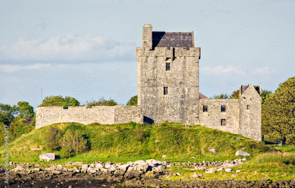 A Castle in Ireland