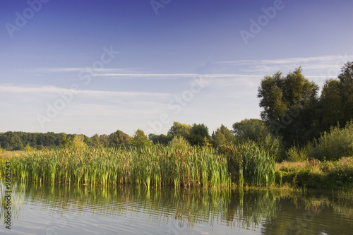 Heathland with Water