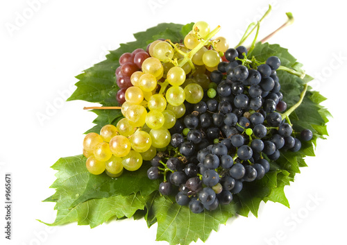 Bunch of grapes on leaves
