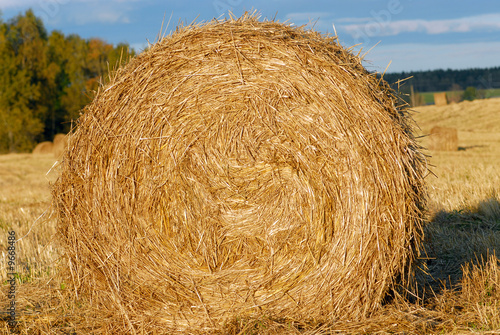 haystack