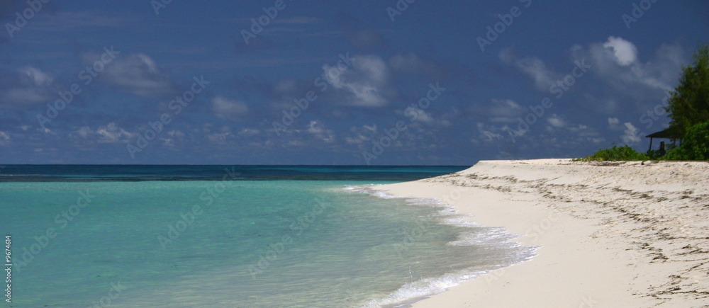 Denis island aux Seychelles