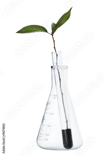 Bioengineering Crops Concept